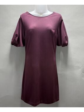 Express XS Woman's Eggplant Purple Lined Short Sleeve Career Work Dress